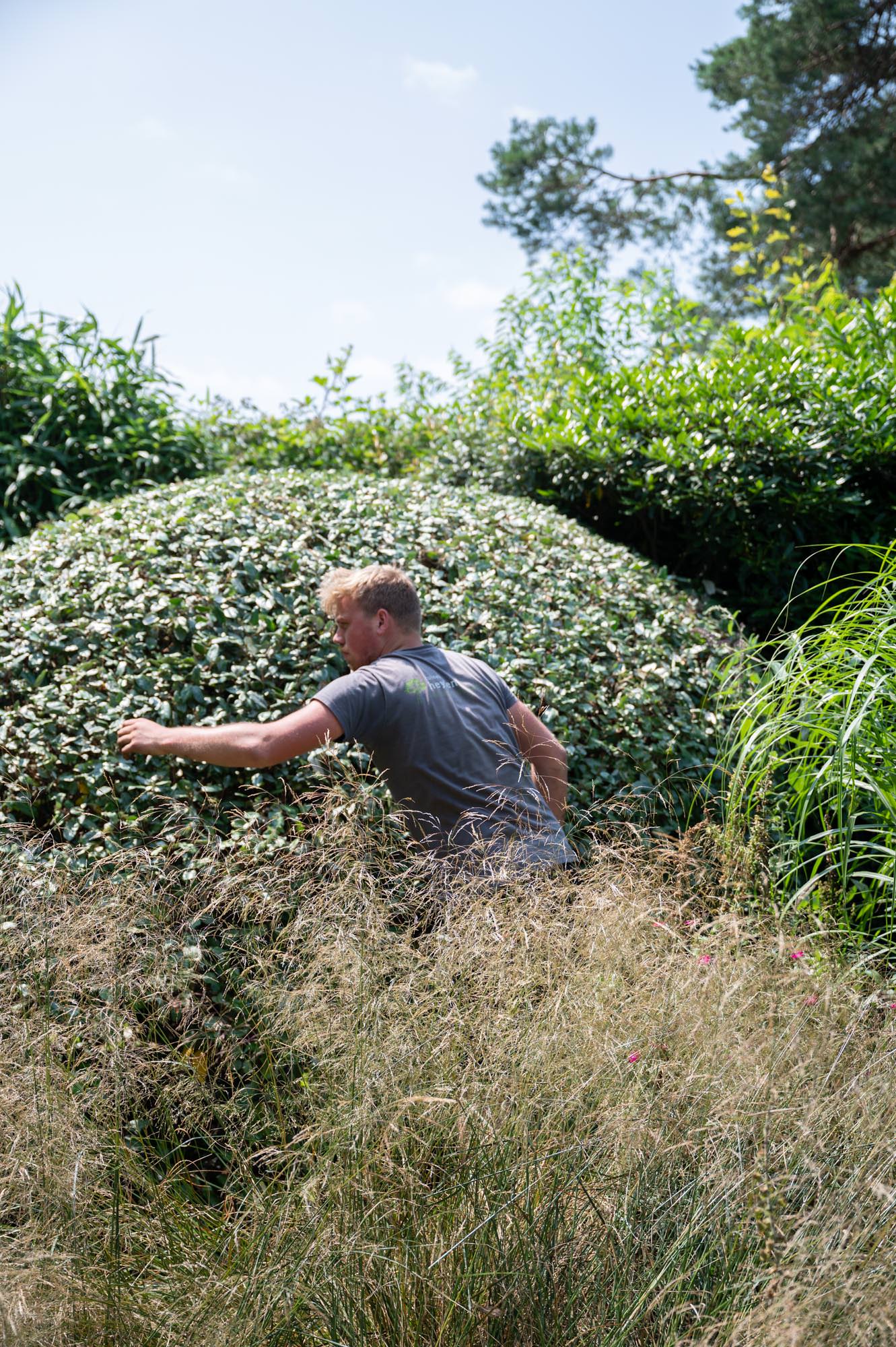 Hoogwaardige tuinrealisatie met duurzame materialen en inheemse beplanting